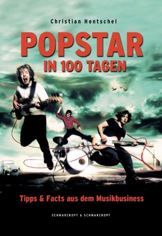 Popstar in 100 Tagen. Tipps & Facts aus dem Musikbusiness.