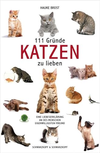 Beispielbild fr 111 Grnde, Katzen zu lieben: Eine Liebeserklrung an des Menschen eigenwilligsten Freund zum Verkauf von medimops