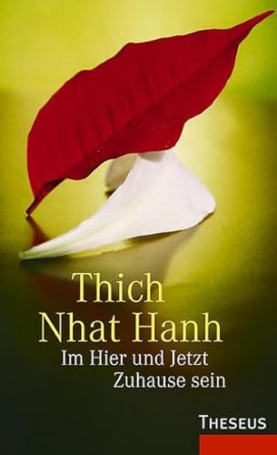 Im Hier und Jetzt zuhause sein (9783896203199) by Thich Nhat Hanh