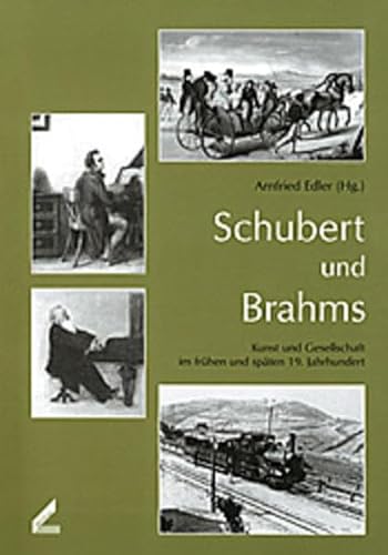 Stock image for Schubert und Brahms. Kunst und Gesellschaft im frhen und spten 19. Jahrhundert. Publikationen de for sale by medimops
