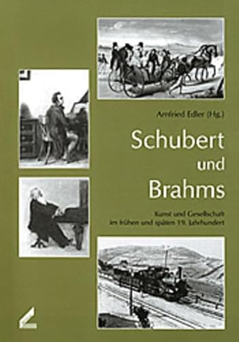 9783896392787: Schubert und Brahms: Kunst und Gesellschaft im frhen und spten 19. Jahrhundert. Dokumentation der Veranstaltungsreihe der Hochschule fr Musik und Theater Hannover v. 3. - 25. November 1997