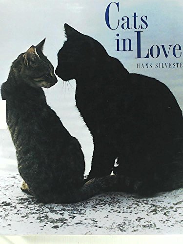Imagen de archivo de Cats in love. Aus dem Franzsischen von Cornelia Sevrain. a la venta por Antiquariat KAMAS