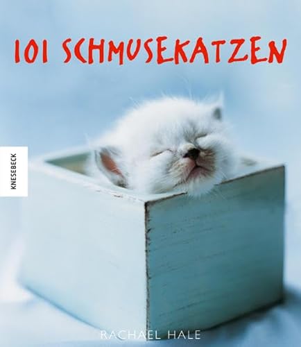 Beispielbild fr 101 Schmusekatzen zum Verkauf von medimops