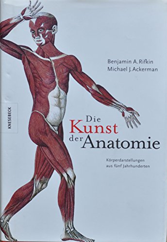 Stock image for Die Kunst der Anatomie: Krperdarstellungen aus fnf Jahrhunderten for sale by Concordia Books
