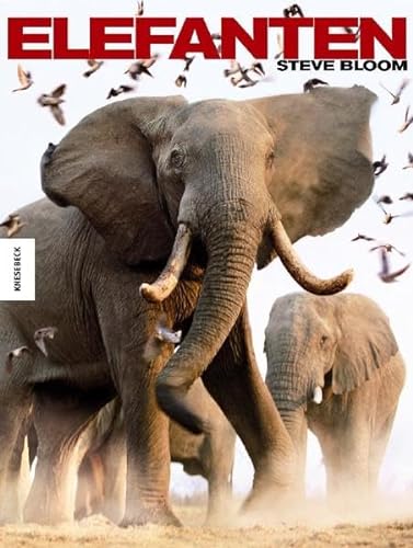 Beispielbild fr Elefanten zum Verkauf von Sammlerantiquariat