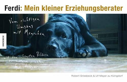 Stock image for Ferdi: Mein kleiner Erziehungsberater: Vom richtigen Umgang mit Menschen for sale by Reuseabook