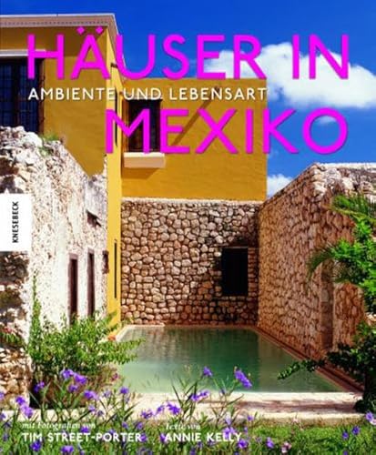 Stock image for Huser in Mexiko. Ambiente und Lebensart for sale by medimops