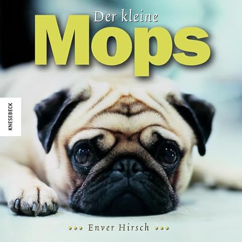 Stock image for Der kleine Mops for sale by AwesomeBooks