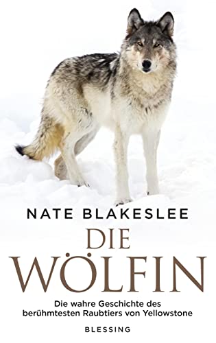 Stock image for Die W lfin: Die wahre Geschichte des berühmtesten Raubtiers von Yellowstone for sale by HPB-Red