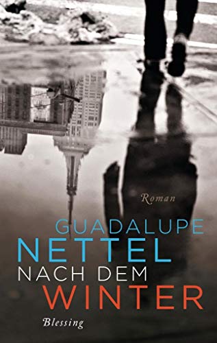 9783896676139: Nach dem Winter: Roman