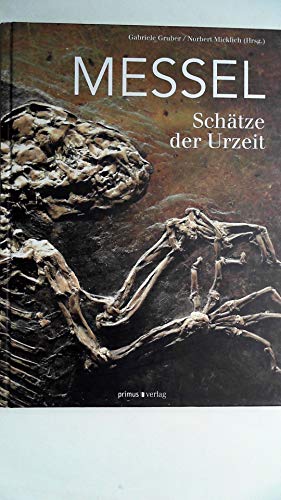 Stock image for Messel: Schtze der Urzeit for sale by medimops