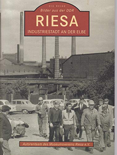 Imagen de archivo de Riesa: Industriestadt an der Elbe a la venta por Buchmarie