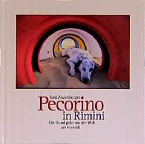 Stock image for Pecorino in Rimini. Ein Hund geht um die Welt for sale by medimops