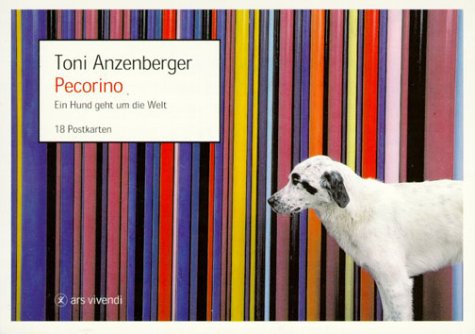 Stock image for Pecorino. Postkartenbuch. Ein Hund geht um die Welt. 18 Farbpostkarten for sale by medimops
