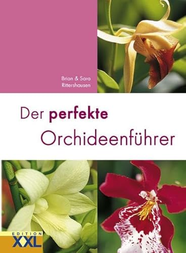 Stock image for Der perfekte Orchideenfhrer -Language: german for sale by GreatBookPrices