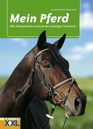 Stock image for Mein Pferd: Alles Wissenswerte um die anmutigen Vierbeiner for sale by medimops