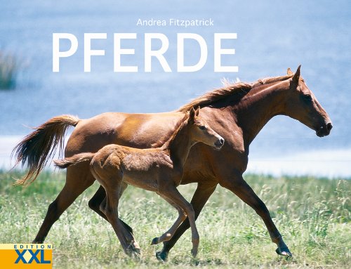 Stock image for Pferde for sale by medimops
