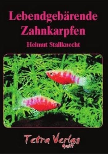 Beispielbild fr Lebendgebrende Zahnkarpfen -Language: german zum Verkauf von GreatBookPrices