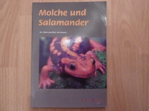 Beispielbild fr Molche und Salamander zum Verkauf von medimops