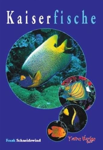 Beispielbild fr Kaiserfische zum Verkauf von medimops