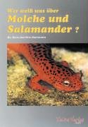 Stock image for Wer wei was ber Molche und Salamander for sale by medimops