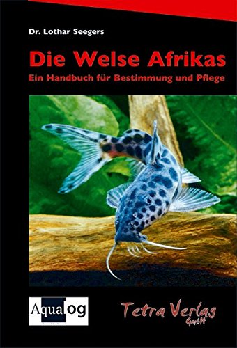 Beispielbild fr Die Welse Afrikas: Ein Handbuch fr Bestimmung und Pflege zum Verkauf von medimops