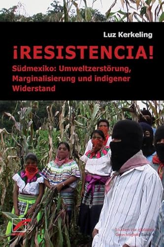 Imagen de archivo de RESISTENCIA!: Sdmexiko: Umweltzerstrung, Marginalisierung und indigener Widerstand a la venta por medimops