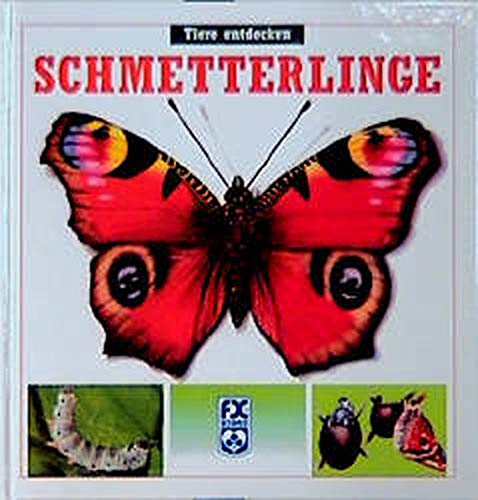 Schmetterlinge (F.X. Schmid - 