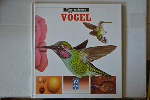 Vögel (F.X. Schmid - "Tiere entdecken", Band 5)