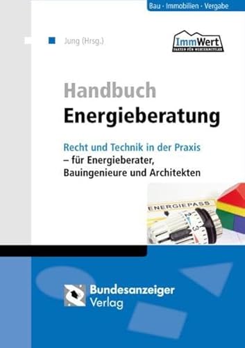 9783898177351: Handbuch Energieberatung