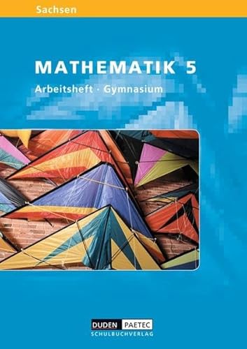 Level Mathematik - Gymnasium Sachsen: 5. Schuljahr - Arbeitsheft - Jens Eisoldt