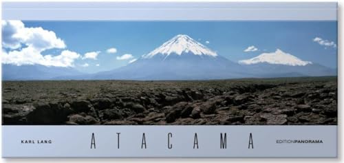 Immagine stock per Atacama