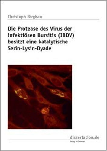 Stock image for Die Protease des Virus der infektisen Bursitis (IBDV) besitzt eine katalytische Serin-Lysin-Dyade for sale by Buchpark