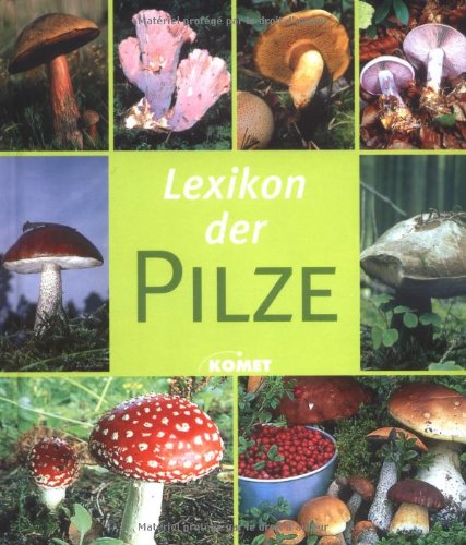 Beispielbild fr Lexikon der Pilze zum Verkauf von medimops