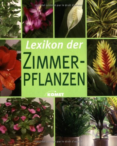 Stock image for Lexikon der Zimmerpflanzen. Die schnsten Zimmerpflanzen von A bis Z und Wissenswertes zu Pflege und Standort. for sale by medimops