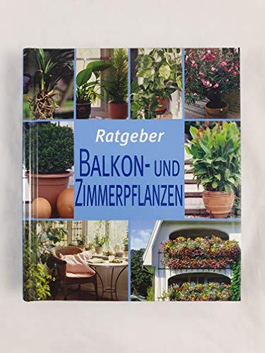 Imagen de archivo de Ratgeber Balkon- und Zimmerpflanzen a la venta por medimops