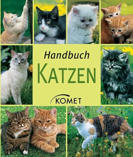 Stock image for Handbuch Katzen for sale by Nietzsche-Buchhandlung OHG