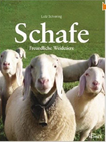 Stock image for Schafe: Freundliche Weidetiere for sale by medimops