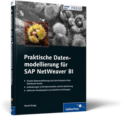 Imagen de archivo de Praktische Datenmodellierung fr SAP NetWeaver BI (SAP PRESS) a la venta por medimops