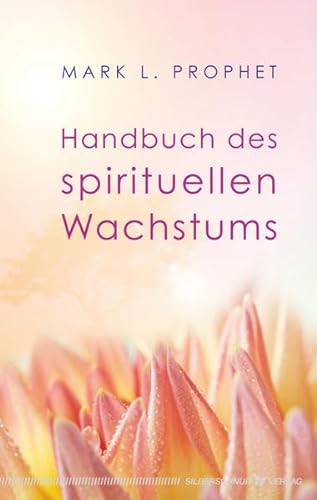9783898453882: Handbuch des spirituellen Wachstums