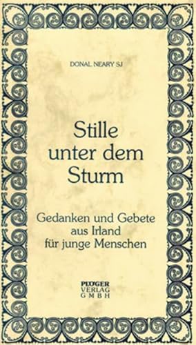 9783898570039: Neary: Stille unter Sturm