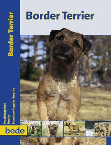 Stock image for PraxisRatgeber Border Terrier -Language: german for sale by GreatBookPrices