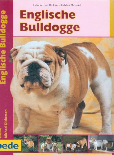 Beispielbild fr Englische Bulldogge, Praxisratgeber zum Verkauf von medimops