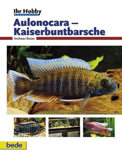 Aulonocara - Kaiserbuntbarsche Ihr Hobby