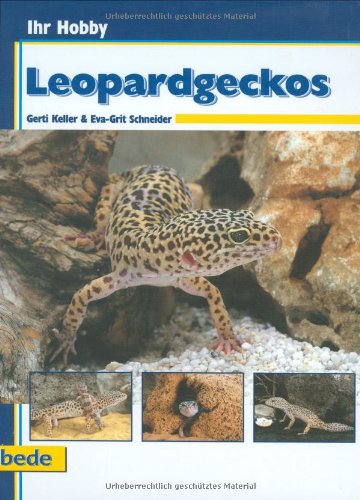 Stock image for Leopardgeckos, Ihr Hobby for sale by medimops