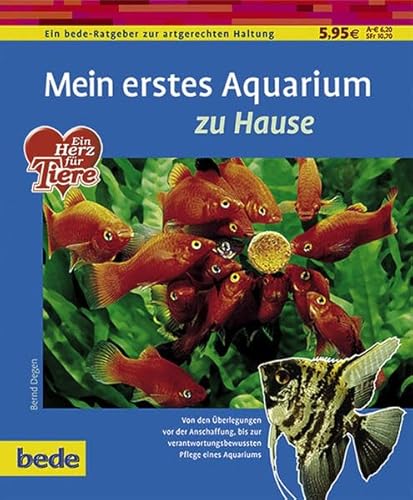 Beispielbild fr Mein erstes Aquarium zu Hause Bernd Degen zum Verkauf von tomsshop.eu