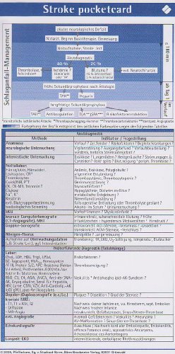 Stroke pocketcard (2er Set) von Sebastian von Stuckrad-Barre (Autor), Sebastian von Stuckrad- Barre (Autor) - Sebastian von Stuckrad-Barre (Autor), Sebastian von Stuckrad- Barre (Autor)