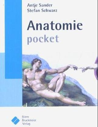 Beispielbild fr Anatomie pocket zum Verkauf von medimops