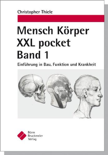 Mensch Körper XXL pocket. Band 1: Einführung in Bau, Funktion und Krankheit - Thiele Christopher