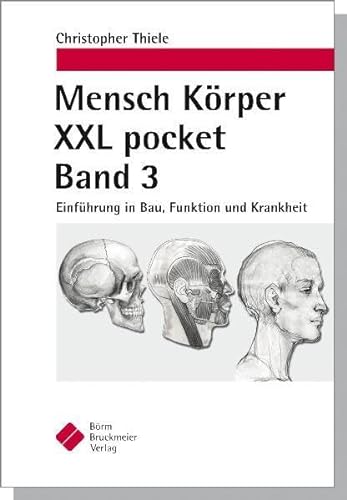 Stock image for Mensch Krper XXL pocket Band 3: Einfhrung in Bau, Funktion und Krankheit for sale by medimops